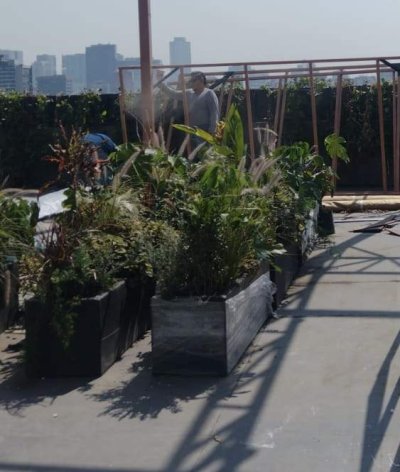  PLANT DESIGN AND REFORESTATION